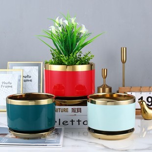 精致小花瓶金枝玉叶新p款高端红色朱顶红专用陶瓷种花盆大号家用