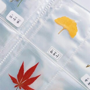 植物标本收集册叶脉书签树叶标本收集袋儿童手工自制干花标本相册