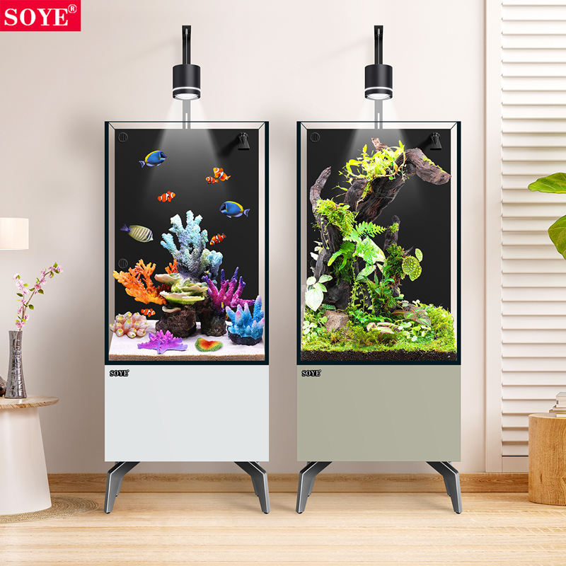 鱼缸客厅造景生态20q23新款小型中型超白玻璃水草植物水族箱背滤