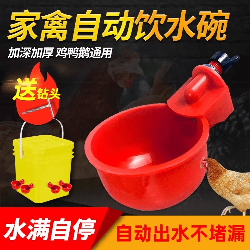 鸡饮水碗家禽自动喂水器鸡鸭鹅自动饮水器喝水碗养鸡水桶养殖用品
