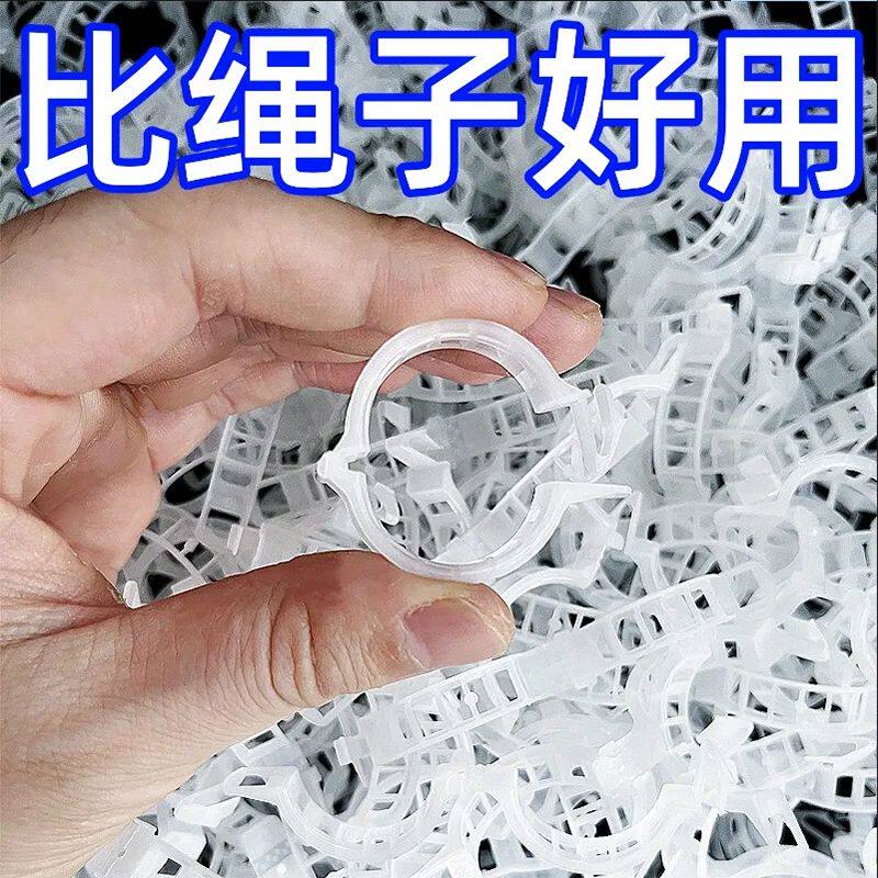 绿植果树植物固定夹卡扣藤蔓固定器秧苗爬藤支撑杆果蔬秧苗吊秧夹