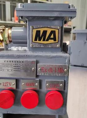 L定制防爆阻箱 漏电保护箱检测用电阻 DZB-1140/66电0矿用电阻箱