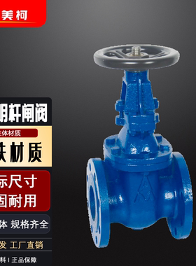 埃美柯Z41T-16铸铁法兰明杆闸阀蓝色自来水消防管水气阀6196B