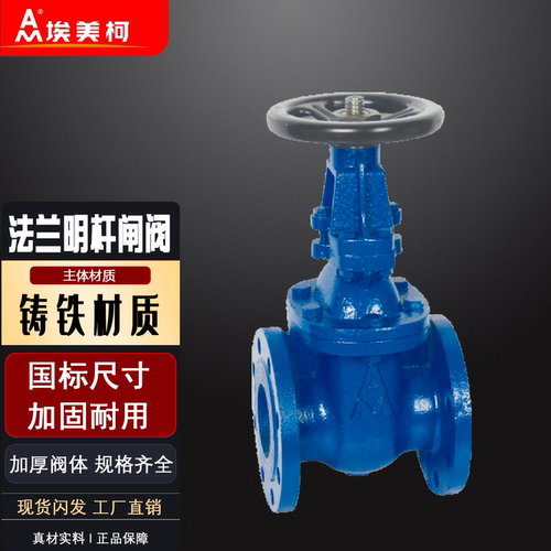 埃美柯Z41T-6铸铁法兰明杆