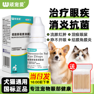 狗狗滴眼液猫咪宠物眼药水发炎泪痕流脓消炎硫酸新霉素滴眼液