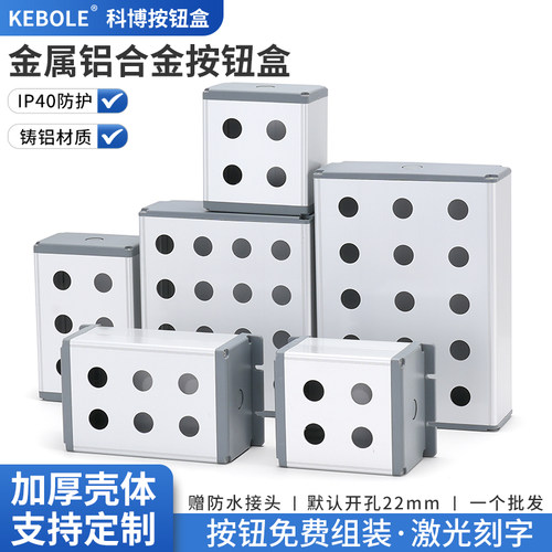 22mm孔径大号款双排铝合金按钮盒带耳金属防水开关急停厚面板壳体