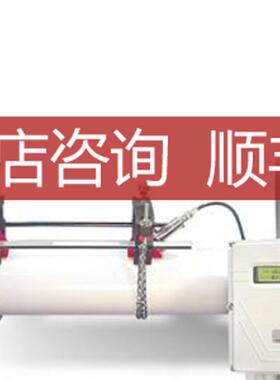 Panametrics Baker Hughes 声波流量计 DigitalFlow 声波流量询价