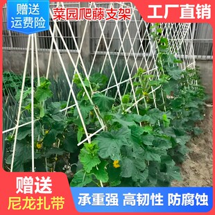 爬藤架拱门月季西瓜葡萄花柱架子黄瓜豆角丝瓜扶苗花架植物箱支架