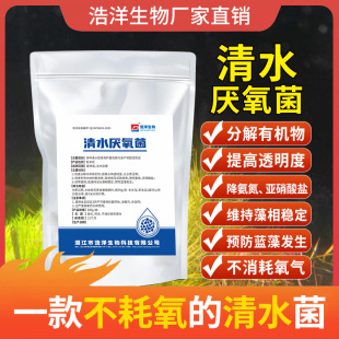 浩洋生物水产养殖清水厌氧u菌分解有机质调水缓解水质过肥稳藻相