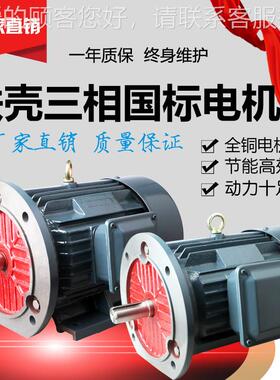 厂家直如标题发三相异步电动-机 YE53系列Y2纯铜 55w2极 YE220M-2