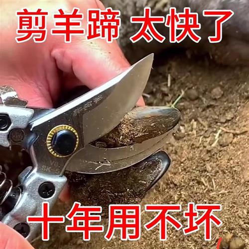 修羊蹄子剪刀羊修蹄刀兽用剪羊脚指甲剪养殖工具羊用修羊蹄修蹄刀