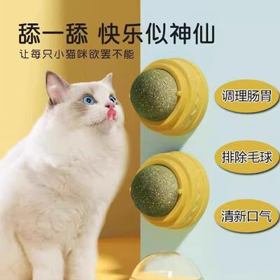 Catnip balls, cat toys for self-entertainment and relieving
