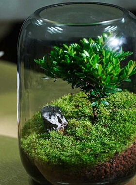 办公室客厅桌面生态瓶自循环微景观免打理微生态玻璃微观鱼缸空瓶