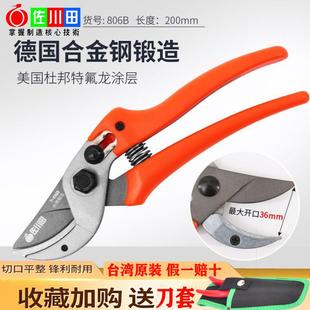 修枝剪果树花剪园艺剪刀r花艺剪省力园林剪枝家用果树修剪树枝剪