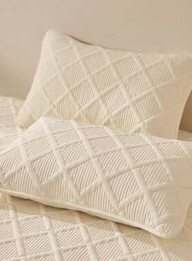 新款全棉夹棉加厚枕套一对装单人学生宿舍信封式枕头套48ZX74枕皮