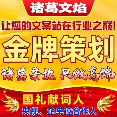 代写可行性研究报告品牌营销商业策划书申报书创业规划活动方案