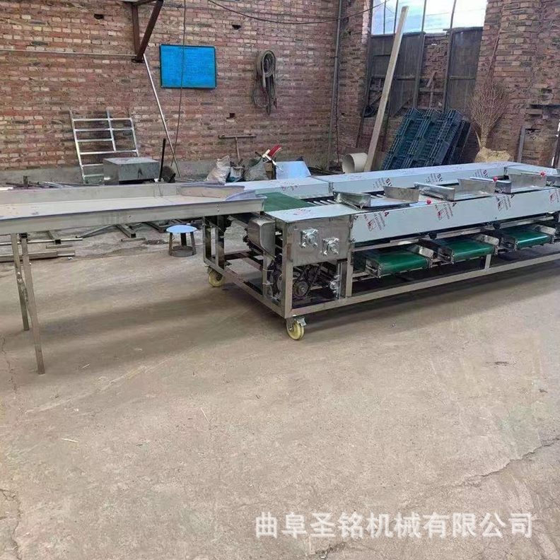 中小型家用小番茄分选机 圣女果荔枝商用选果机 直径分选设备