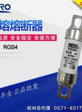 茗熔快速熔断器RGS4660gh80A100A35A50A690V63A110A40A