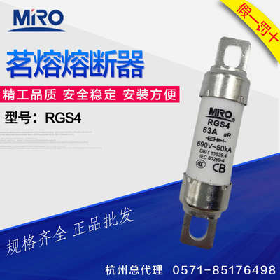 茗熔快速熔断器RGS4660gh80A100A35A50A690V63A110A40A