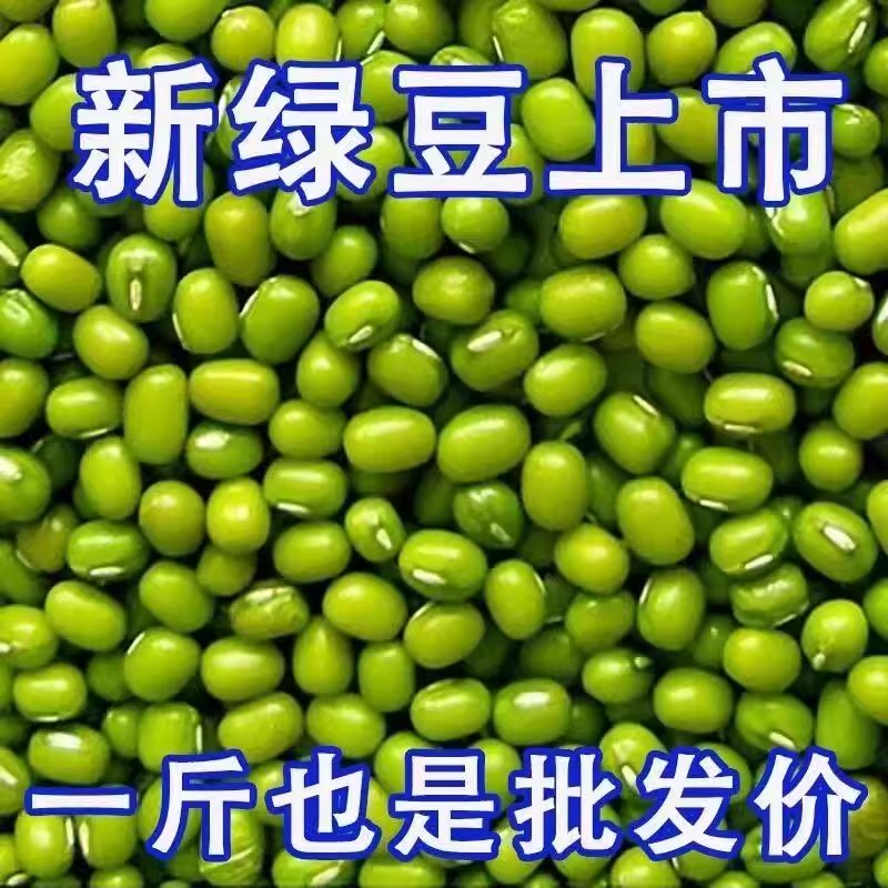 东北农家绿豆新绿豆绿豆粥解暑绿豆汤笨绿豆可发芽绿豆饼五谷杂粮
