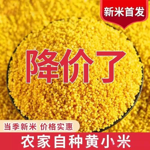 农家新黄小米香糯油厚煮粥