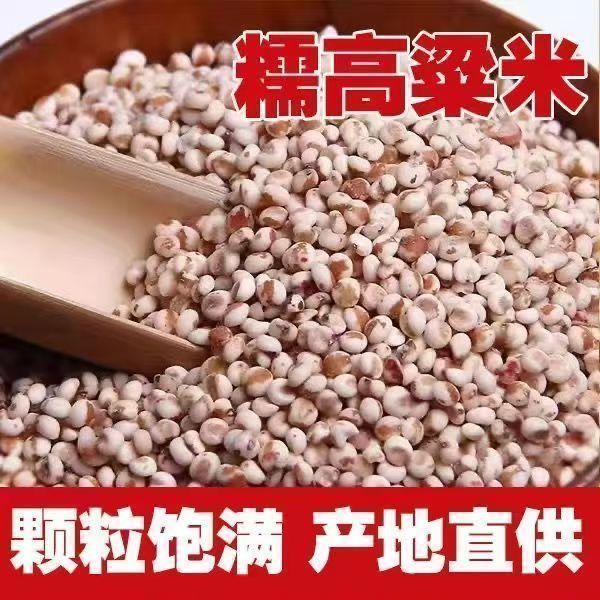 糯高粱米 新货去皮粘高粱米 高粱米 煮粥包粽子酿酒现磨 包邮