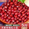 太便宜了】正宗当季红豆东北红小豆农家自种红小豆赤小豆丽人膳补