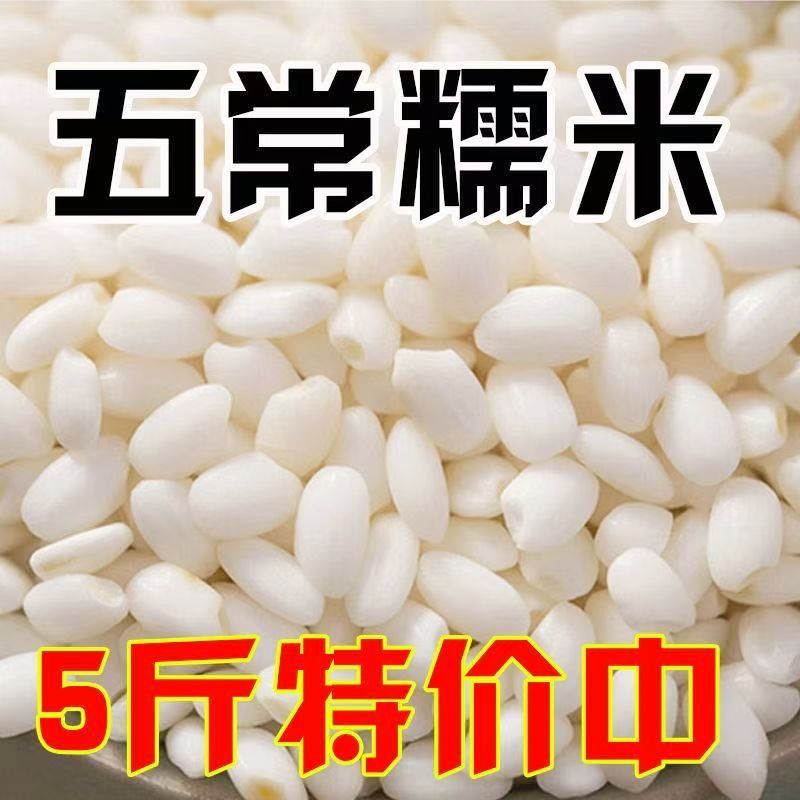 农家圆糯米新米香糯包粽子酿酒糯米白糯米煮粥正宗糯米食用
