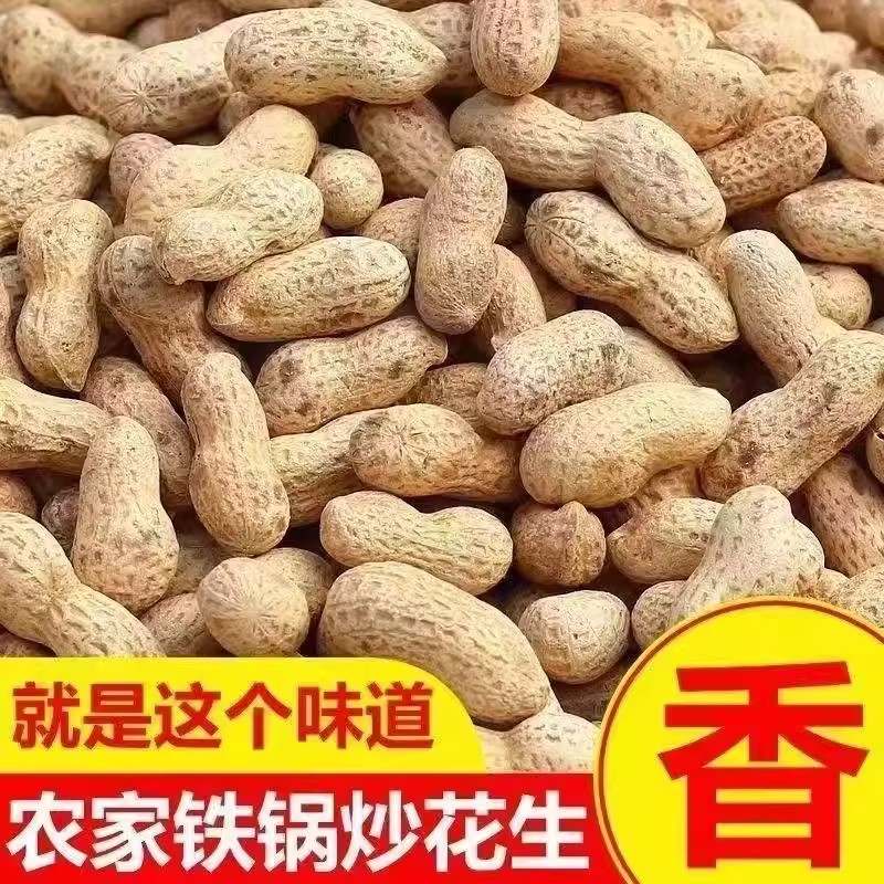 农家铁锅柴火现炒新货花生