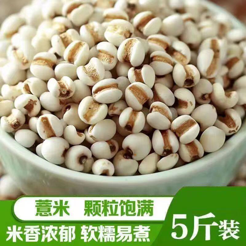 贵州新货小薏米祛湿粥