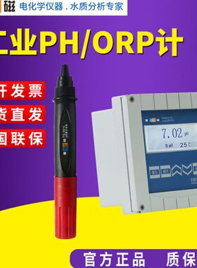 O/B2721RPF-PH配GPH在器计D送上海雷磁线pHPH发G沉入-工业式
