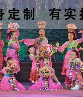 风小阁  荷饰舞舞蹈花仙   表舞台采专业之颂  演  定制演出服