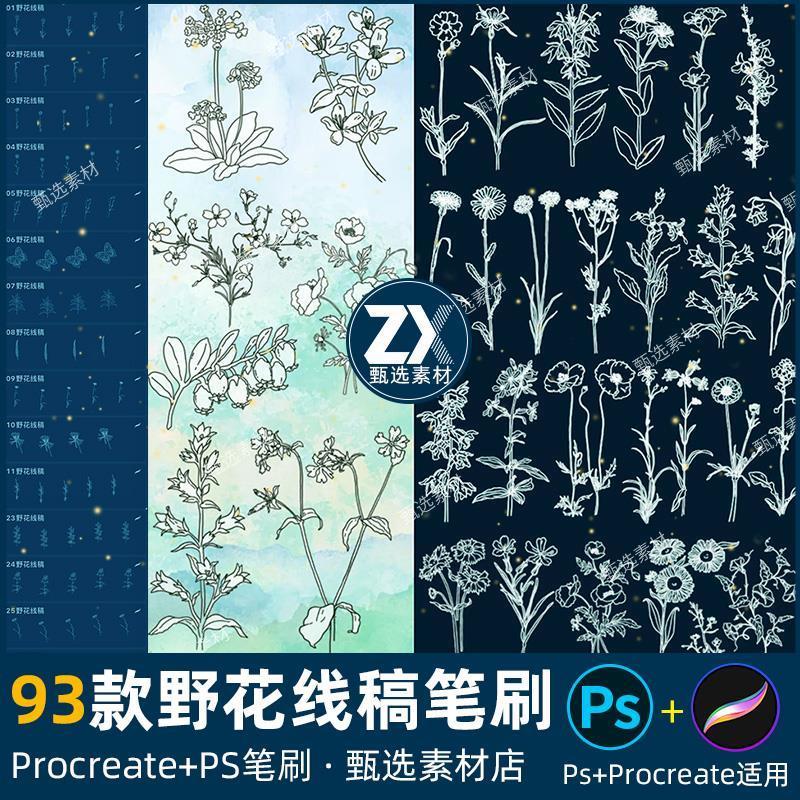 ps笔刷procreate笔刷小清新野花鲜花朵花卉植物线稿手绘野草丛林