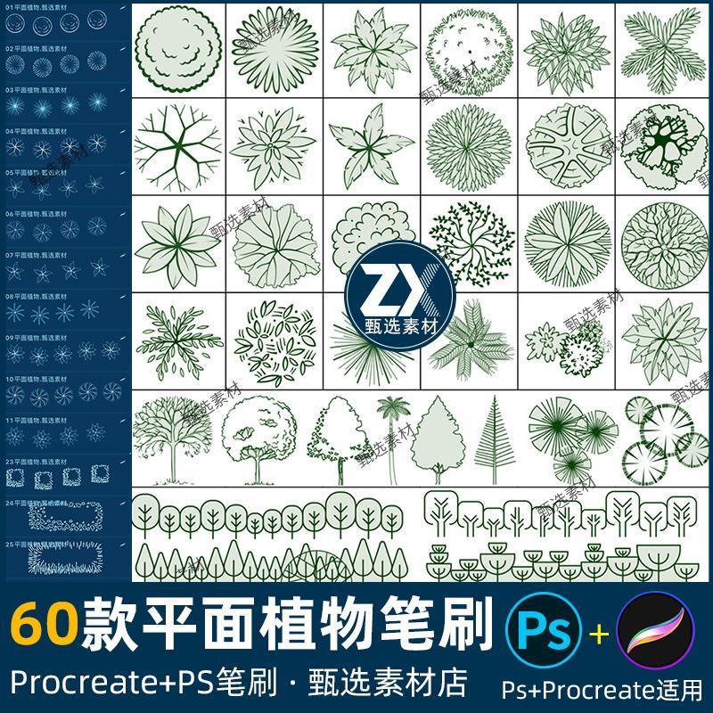 ps笔刷procreate笔刷园林植物景观设计平面树木立面鸟瞰草丛线稿