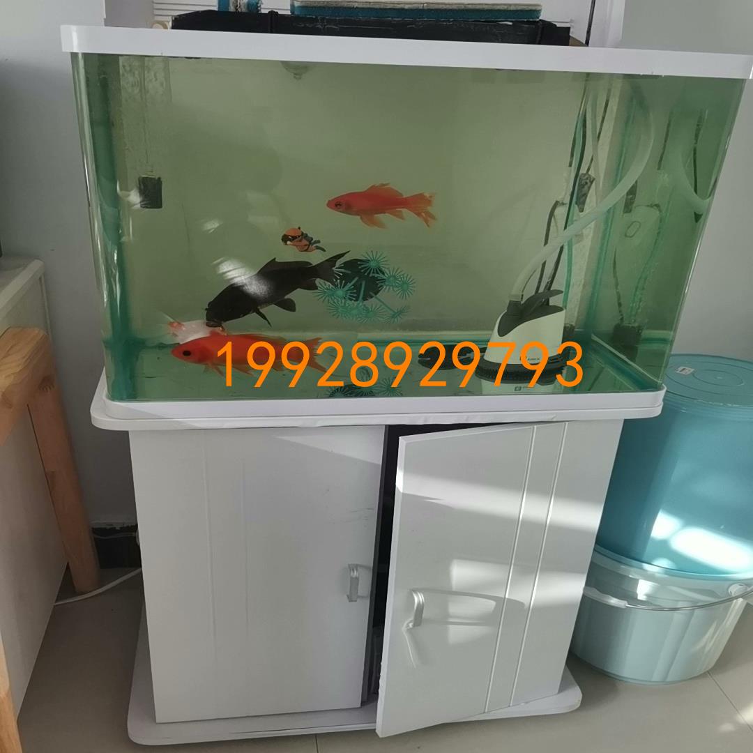 议价刚买的鱼缸。也就一年吧,不想养了,可以带鱼一起