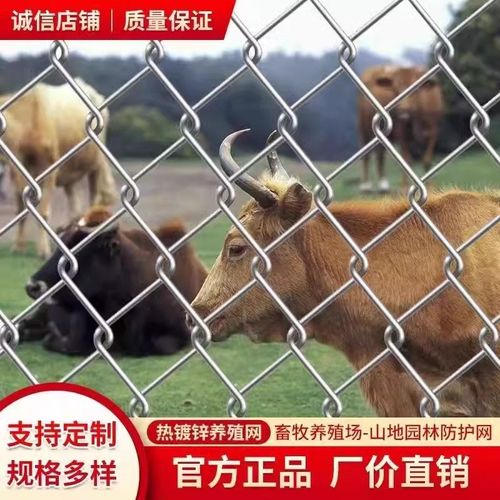 镀锌铁丝网围栏防护网勾花网钢丝网养殖羊牛猪栏网果园栅栏护栏网
