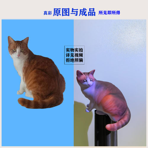 全彩宠物猫定制礼物送源文件