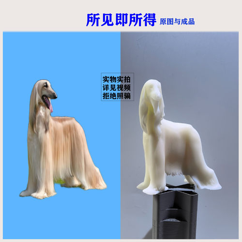 宠物狗定制白膜送源文件纪念
