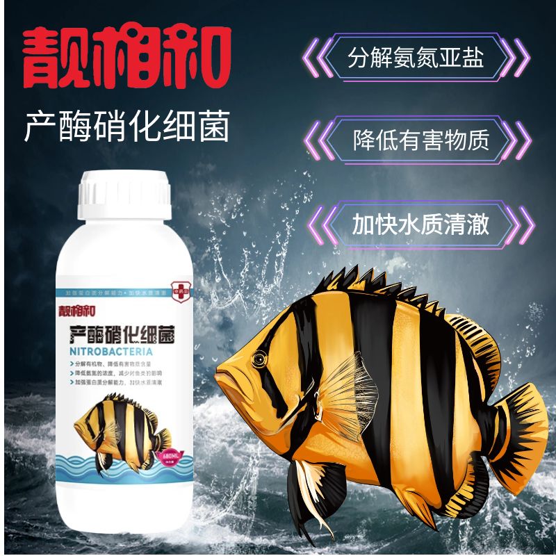 硝化细菌养鱼鱼缸活菌培菌净化水质益生菌水质稳定剂除氯消化酸奶