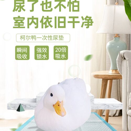 加厚大号宠物吸水尿片柯尔鸭S小型除臭猫尿垫竹炭狗狗100片包邮