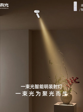 一束光聚光射灯智能明装客厅家用茶室摆件绿植字画餐厅玄关吸顶灯