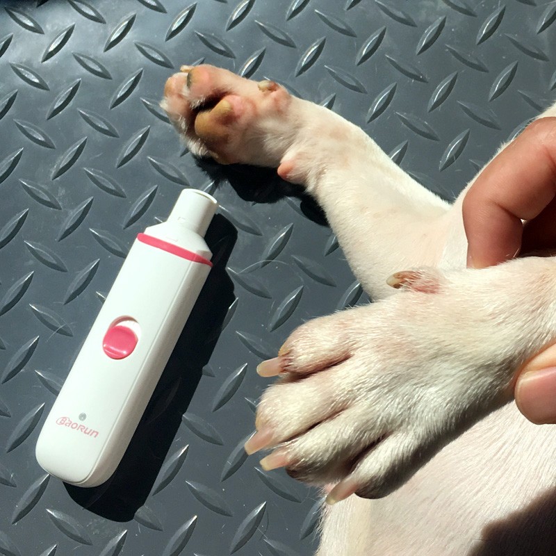 宠物充电式磨甲器电动狗狗法斗指甲剪猫狗指甲钳泰迪磨指甲刀用品