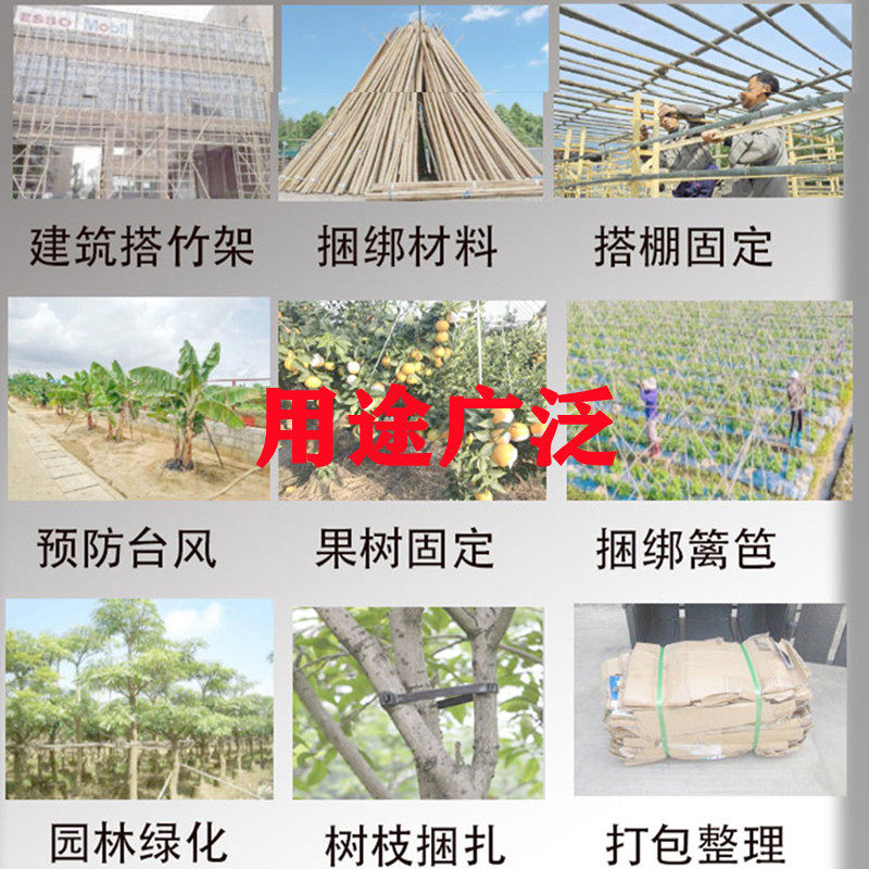 搭竹架绳建筑扎带捆绑胶蔑绑带搭大棚架果树拉枝固定园林建筑打包