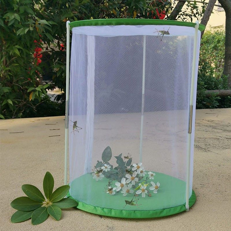 蝴蝶笼防虫纱网爬虫宠物笼幼苗透光培育箱可折叠式昆虫蚕蛹观察笼,鲜花速递/花卉仿真/绿植园艺,其它园艺用品,淘宝优惠券,粉丝福利购,淘宝优惠卷