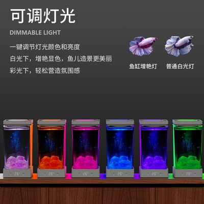 方寸秘境斗鱼缸客厅生态桌面办公室造景养鱼迷你水族箱小鹏说水族