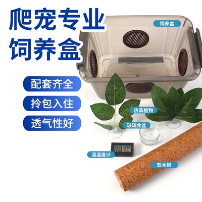 爬宠饲养箱爬虫防逃逸R属豹纹睫角巨人守宫透气蜘蛛角蛙饲养盒