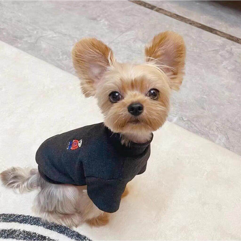 约克夏专用衣服秋天秋冬季冬天保暖马尔济斯小鹿犬卫衣小体犬幼犬