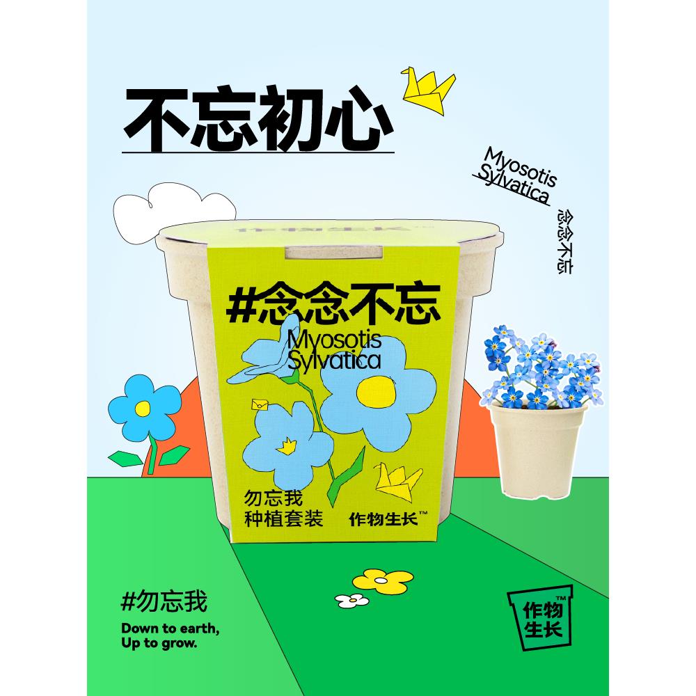 作物生长勿忘我盆栽种植套装迷你绿植花卉创意礼品懒人植物礼物