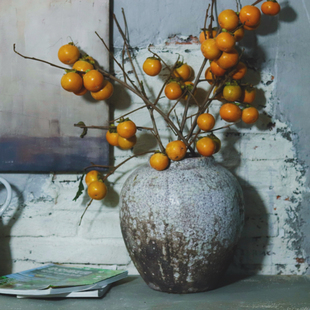 许纯的花房- 手工粗陶红陶罐子冰裂粗沙效果 切花花瓶 三角梅花盆