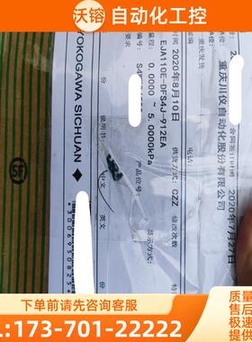 横河110E-DFS4J-912EA变送器【议价】